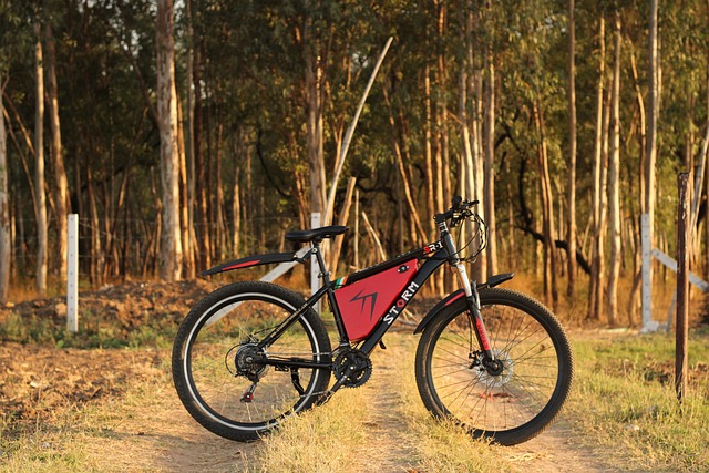 E-Bike Elektrofahrrad im Wald